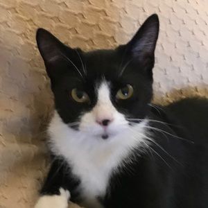 Meet your Posher, John